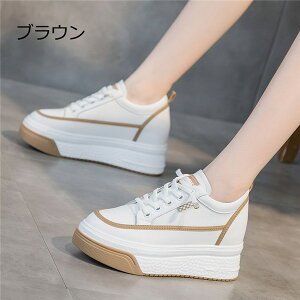 Xj[J[ fB[X ҂ݏグ^Cv V[Y JWA EH[LOV[Y ubN  킢 傫TCY ₷ s ʋ ʊw C  Vv n r g