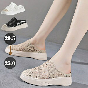 T_ fB[X T_ ʋC [X  tbg V[X[ ƂȂ 傫 TCY EFbW\[ i JWA  ][g x[W  zCg 20.5 2