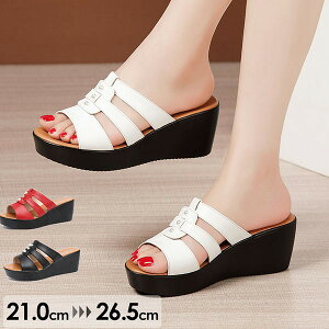 ɂȂ ₷ r ɂ EFbW\[ T_ ~[ TCY  T_ Xg[ 3colors q[6cm 傫TCY ubN zCg bh t@bV 