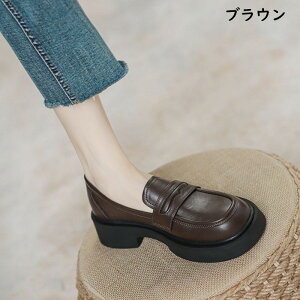 [t@[ fB[X w    JK ̎q JWA r t@bV I[V[Y WjA XN[[t@[ w Ǝ ʋ ʊw t  H ~ ubN u