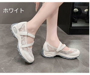  Xj[J[ Xj[J[ Xj[J[T_ fB[Xy22.5-26.0cmz[X ʋC ʋ bV}C }}t@bV U ig  傫TCY ubN x[W