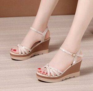 EFbW\[ T_  EGbW\[ T_ fB[X Ƃ q[T_ ANXgbv XgCvT_ 傫TCY TCY Sn悢 