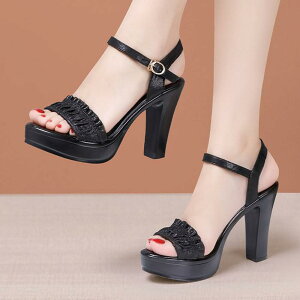 XgbvT_ nCq[  q[T_ T_ T_ fB[X Ƃ ANXgbv 傫TCY TCY Sn悢  r l  