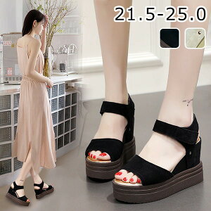 EFbW\[ T_  fB[X   q[T_ ANXgbv 傫TCY TCY q[10cm }WbNe[v Sn悢  ɂȂ ₷