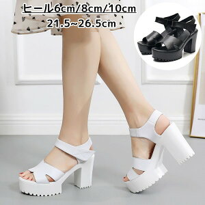 T_  `L[q[ T_  q[  nCq[ xg I[vgD ubN zCg  q[ 6cm 8cm 10cm ɂ JWA RtH[gT_ 