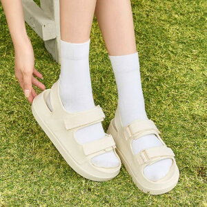 T_ fB[X    t  22.5 23.0 23.5 24.0 24.5 25.0 TCY 傫TCY Vv JWA obNXgbv vbgtH[    x[W xg g