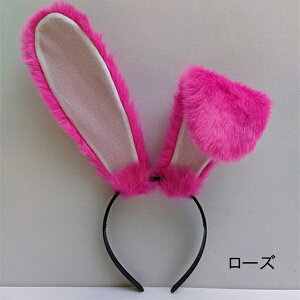 y14Fz20cm e  Aj}  d   ǉ J`[V  tFCNt@[ ETM  ANZT[  w nEB NX}X    F  x[