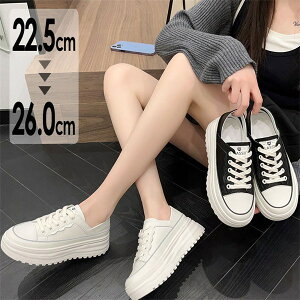 Xj[J[ fB[X V[Y Xj[J[ EH[LOV[Y    킢 ʋ lC C  ubN zCg ɂȂ ₷ r ɂ gAbv H 