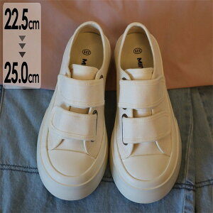 Xj[J[ fB[X V[Y Xj[J[ EH[LOV[Y   킢 ʋ C ubN zCg ɂȂ ₷ r ɂ gAbv H t di006w9w9w9