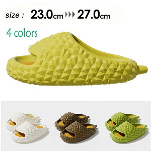 Xbp hA [V[Y T_ ƒp O r[`T_ fB[X Y y ϖ W[ AEghA r[`T_ LbY  ~ e͐  