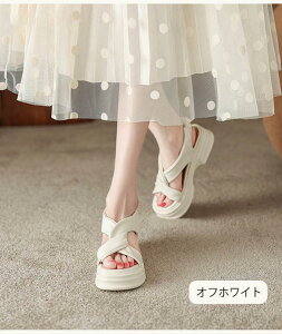 T_ fB[X    Ƃ S X|[cT_ ʋCQ q[6Z` g킸 傫TCY T}[ JWA  o| RtH[g V[Y 