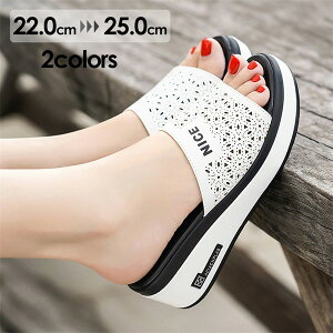 T_   RtH[gT_ EFbW\[ T_ TCY 傳TCY ₷ Sn悢 fB[X  EFbW T_ r  ei161z7z7