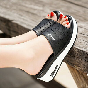 T_   RtH[gT_ EFbW\[ T_ TCY 傳TCY ₷ Sn悢 fB[X  EFbW T_ r  ei161z7z7