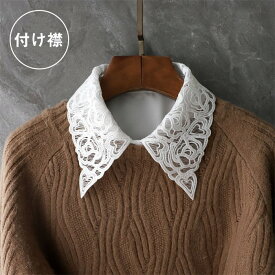 つけ襟 レディース レース付き シフォン フェイクシャツ 襟付き トップス用 おしゃれ かわいい 重ね着風 韓国風 秋冬 新作 ファッション小物 ニット スウェットにぴったり 上品 きれいめ コーデ アクセント 飾り襟 na007z7z7lc