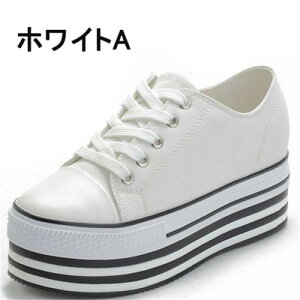  Xj[J[ fB[X C t Xj[J[ JWA ƂȂ Xb| LoX ₷  q[7cm i r ʊw IV ؍  di053zbzbx0