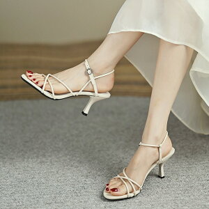 XgbvT_ fB[X ANXgbv ƕt EȂ ɂȂ ₷ JWA ꂢ  t  TCY 傫TCY ubN  ItzCg ja