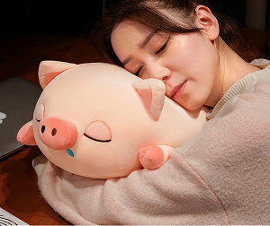 y8OFFN[|zu^ʂ ؂Ԃ  傫  ʂ 傫 ӂӂ NbV  킢 IV CeA q a NX}X oYj