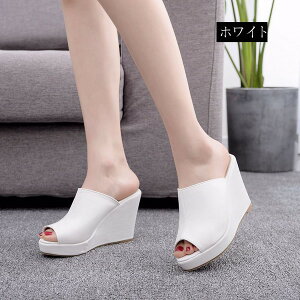 T_ fB[X W[gEGbW\[ T{ T_ t T_ nCq[ Xg[ T_ nCq[ Sn悢 di070zuzux0