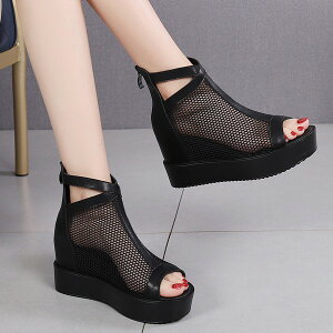 u[cT_ EFbW\[ Cq[ PU bV fB[X T}[u[c  I[vgD t@Xi[t r  ubN zCg20.5~25.0