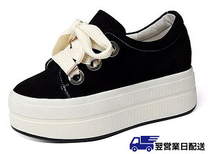 ycƓzfB[X Xj[J[Cq[ C Xj[J[ Cq[Xj[J[ Xj[J[  [XAbvV[Y 7.5cmr V[Y JWA di514w3g4kc /ԕiEE