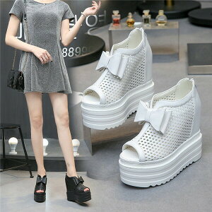 {tT_ l킢 u[c nCq[ fB[X T}[u[c zCg ubN ɂȂ ₷ r ɂ V[Y I[vgEV[Y   22.0/22.5