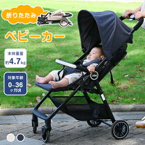 楽天市場】メッシュバギーの通販
