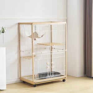 P5{I11/20-11/25L P[W LbgP[W 2i ؐt[ g[t LphAt  ybgP[W P[W ybgp nbNt LX^[t Ch ^ LQ[W L