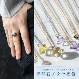 【種類を選べる天然石アクセ福袋】レディースアクセサリー 一点物 ネックレス 指輪 リング ピアス ブレスレット 20代 30代 40代 50代 送料無料 ジュエリー 金属アレルギーに強いサージカルステンレスもお入れします SUS316L