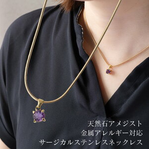 AM[ΉlbNX VR΃AWXg Lumiere T[WJXeX SUS316L S[hlbNX Xl[N`F[ 40cm+5cm AWX^[ ςȂ KтȂ y_ggbv SIL