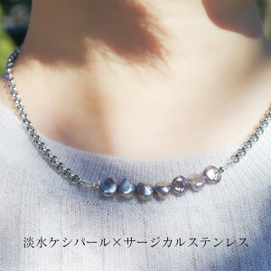 7̒WPVp[V[glbNX 40+5cm AWX^[t fB[X Vv O[p[ Vo[ 30 40 50 T[WJXeX SUS316L AM[Ή { 