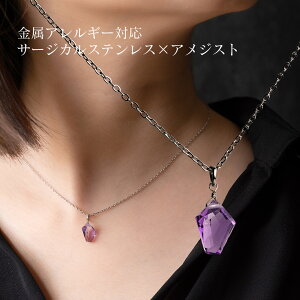 VR΃AWXg t@V[VFCṽV[glbNX Vo[ AM[Ή 40+5cm 45cm AWX^[t fB[X Vv 30 40 50 T[WJXeX SUS316L {