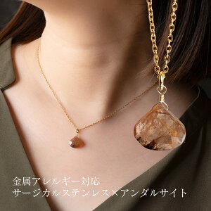 VR΃A_TCg̃V[glbNX } S[h AM[Ή 40+5cm 45cm AWX^[t ςȂ fB[X Vv 30 40 50 T[WJXeX SUS316L 