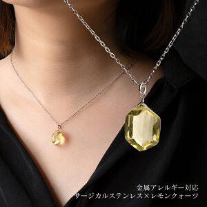 VR΃NI[c̃V[glbNX Vo[ AM[Ή 40+5cm 45cm AWX^[t ςȂ fB[X Vv 30 40 50 T[WJXeX SUS316L { 