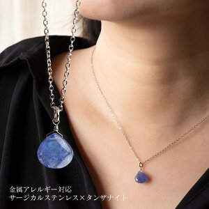 VR΃^UiCg̃V[glbNX } Vo[ AM[Ή 40+5cm 45cm AWX^[t ςȂ fB[X Vv 30 40 50 T[WJXeX SUS316L 