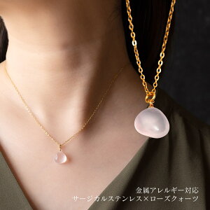 VR΃[YNH[c̃V[glbNX } S[h AM[Ή 40+5cm 45cm AWX^[t ςȂ fB[X Vv 30 40 50 T[WJXeX SUS316L 