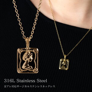 AM[Ή S[hlbNX T[WJXeX Mwl̉ ё 40cm+AWX^[5cm S[h`F[ y_ggbv i l Vv ςȂ KтȂ Ζ