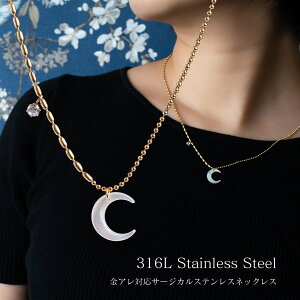 AM[Ή lbNX T[WJXeX VF[  40cm+AWX^[5cm l Vv ςȂ KтȂ Ζ S[h fB[X SUS316 ySTL by SUNNY SIDEz
