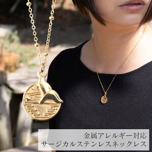 AM[Ή lbNX T[WJXeX NW̔т`[ 40cm+AWX^[5cm l Vv ςȂ KтȂ Ζ S[h fB[X SUS316 ySTL by SUNNY SIDE