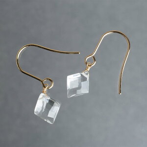 AM[Ή T[WJXeX tbNsAX VR΃NX^ _CJbg K18t S[h fB[X ςȂ y S p SUS316L Mtg v[g i ig