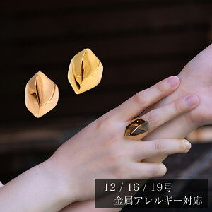 AM[ΉO T[WJXeX Ԃ  ςȂ KтȂ Ζ ^bN S[h sNS[h w jp Y fB[X SUS316 STL