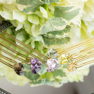 AM[Ή T[WJXeXlbNX×6̃t@V[VFCvJbgVR AWX^[t40+5cm`F[ PVD S[h fB[X SUS316L Mtg v[g AWXg 