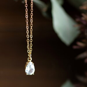 AM[Ή T[WJXeXlbNX×VR΃zCggp[Y AWX^[t40+5cm`F[ yAt@ZbgJbg PVD S[h 9×6mm fB[X SUS316L Mtg v[g