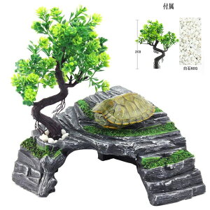   T lH  xe  z ঒ Ȃڂ 1Zbgi{؁{΁j