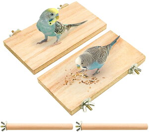 4_Zbg ~܂ pi@Ƃ܂ IE ~܂ ܂ ܂𖁂  ܐ؂ X^h } CR   ނ P[WX^h P[WANZT[  