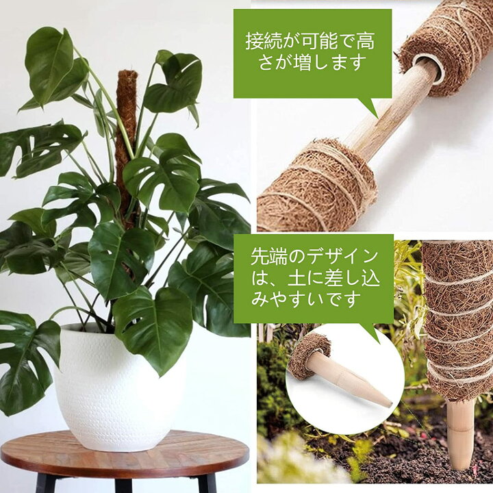 楽天市場 園芸 支柱 おしゃれ 観葉植物 モンステラ つる性植物 サポート 天然 ココナッツ ジョイント式 30cm 3本セット Sunny Station