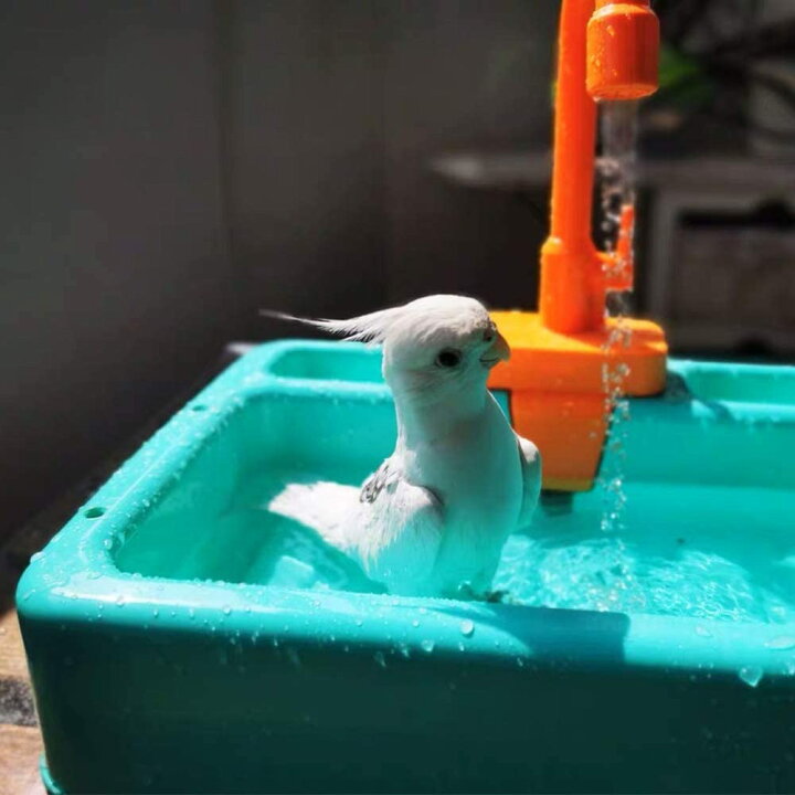 鳥 水浴び容器 バスタブ バードバスタブ ペット用品 暑さ対策各種類の鳥類と小動物の入浴 水浴びケース 清掃簡単 熱中症 鳥風呂 税込 バードバスタブ