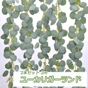 2{Zbg 2m lHA lHϗtA O[  A[`p p[eB[ wi NX}X tFCNO[ Ǌ| tbN ݂  ϗtA t