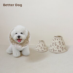 GUxXJ[ \tg Lp 킢 ʋC y ybgpi z ʃt@Xi[ rߖh~ ی (SAMTCY,ԕj