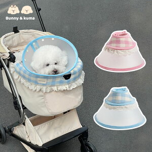 GUxXJ[ \tg Lp 킢 y  ybgpi NA rߖh~ ی (SAMTCY,sNAu[j