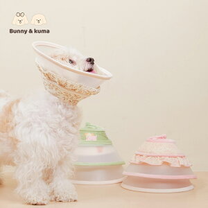 yP5{yVX[p[SALEzGUxXJ[ \tg Lp 킢 y  ԕ ybgpi NA rߖh~ ی (SAMTCYj